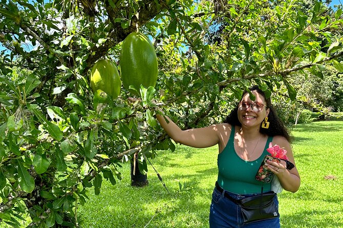 Explore Indigenous Roots, Experience a day in the life of a Taíno - The Jíbaro Identity and Life at an Off-Grid Farm