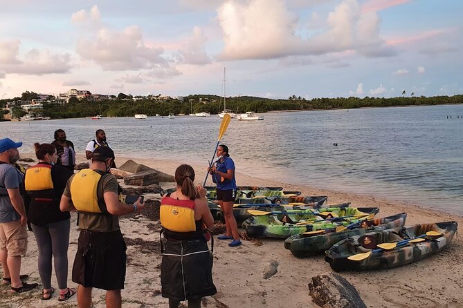 Fajardo Bioluminescent Bay Night Kayak Adventure from San Juan - From San Juan to Fajardo by late afternoon