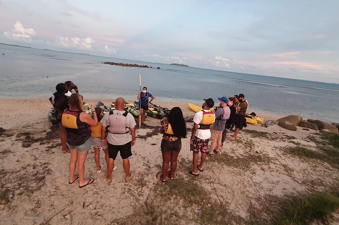 Fajardo Bioluminescent Bay Night Kayak Adventure from San Juan - The glowing water at Laguna Grande