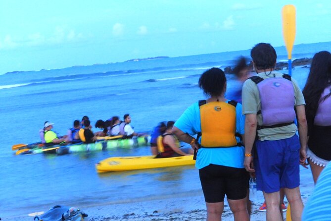 Fajardo Bioluminescent Bay Night Kayak Adventure from San Juan - Guides, safety, and the feel of the group