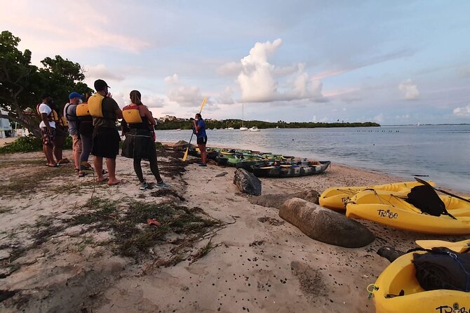 Fajardo Bioluminescent Bay Night Kayak Adventure from San Juan - How wet, buggy, and strenuous is it?