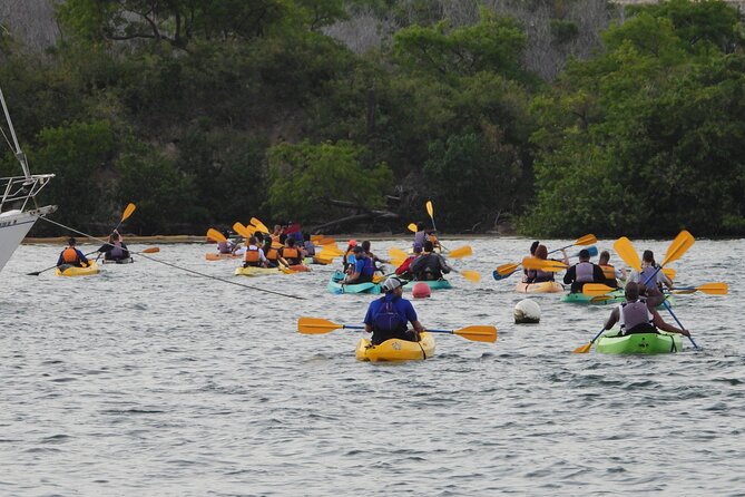 Fajardo Bioluminescent Bay Night Kayak Adventure from San Juan - Is the $109 price fair?
