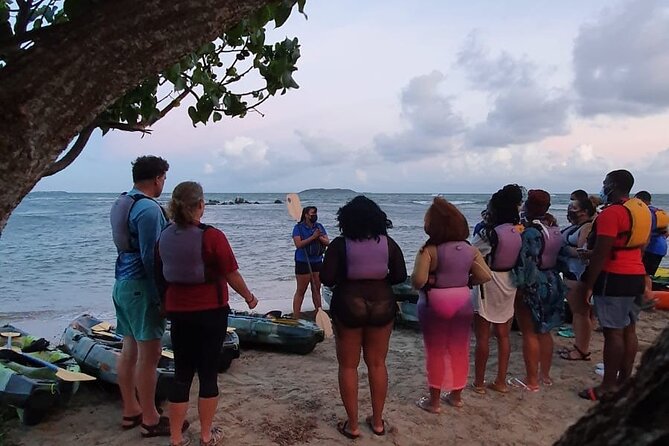 Fajardo Bioluminescent Bay Night Kayak Adventure from San Juan - Weather, moonlight, and choosing your night