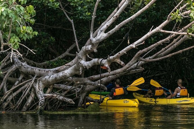 Fajardo Bioluminescent Bay Night Kayak Adventure from San Juan - Kayaking Village and the pre-paddle briefing