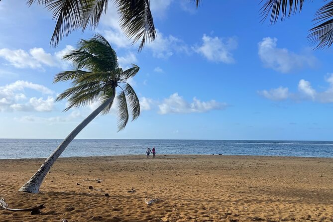 Fajardo Ceiba Ferry Marina Taxi to San Juan Taxi Transportation - Choosing the direct route or the scenic option