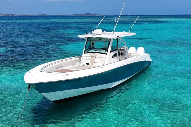 Fajardo Puerto Rico Island Adventure Private Boat Tour - The floating platform and onboard comfort
