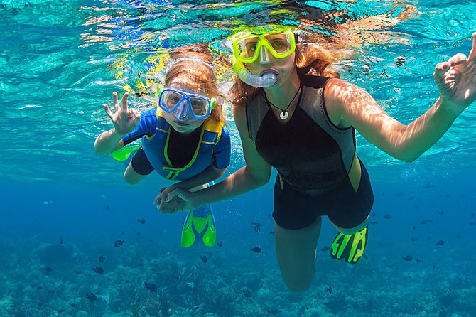 Fajardo, Puerto Rico: Morning Snorkeling Beach Tour - A strong choice for children and first-time snorkelers