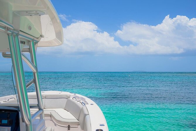 Fajardo Puerto Rico Private Boat Tour to Cayo Icacos - Who will get the most from this boat trip?