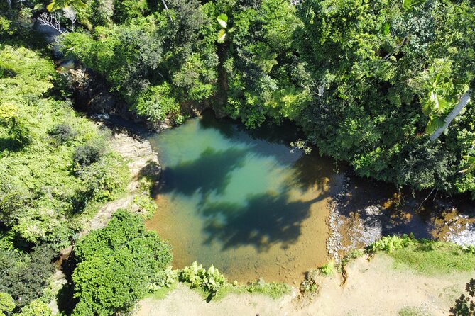 Famous Guavate Pork Road & Charco Azul Food & River Tour - Swimming in the cold freshwater pool