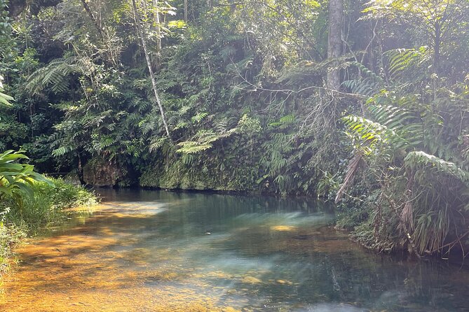 Famous Guavate Pork Road & Charco Azul Food & River Tour - Pack for mud, rain, and lunch
