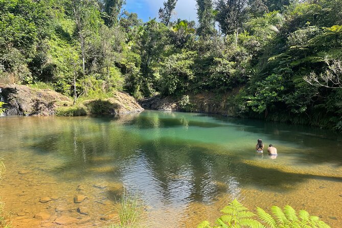 Famous Guavate Pork Road & Charco Azul Food & River Tour - Timing, weather, and cancellation terms