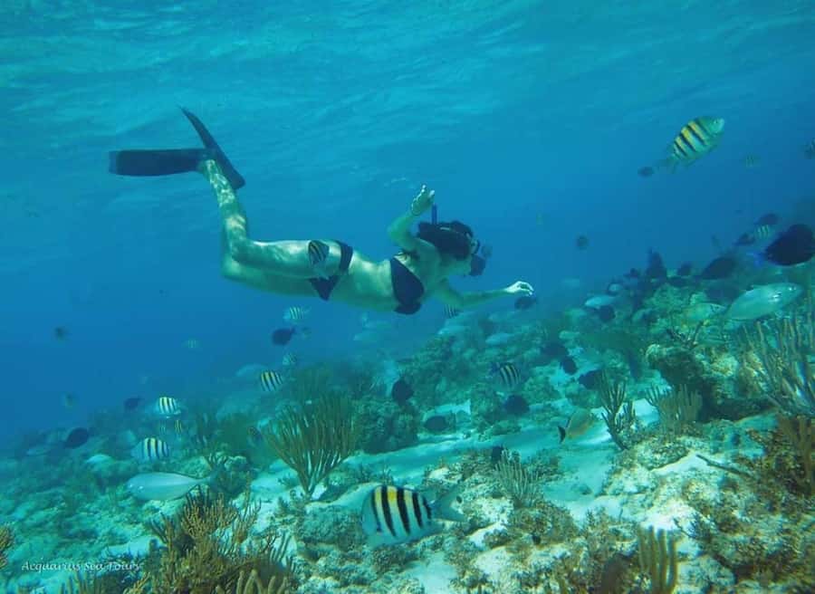 From Fajardo: Boat and Snorkeling in Culebra Island with All-Inclusive - Lunch, snacks, and drinks onboard