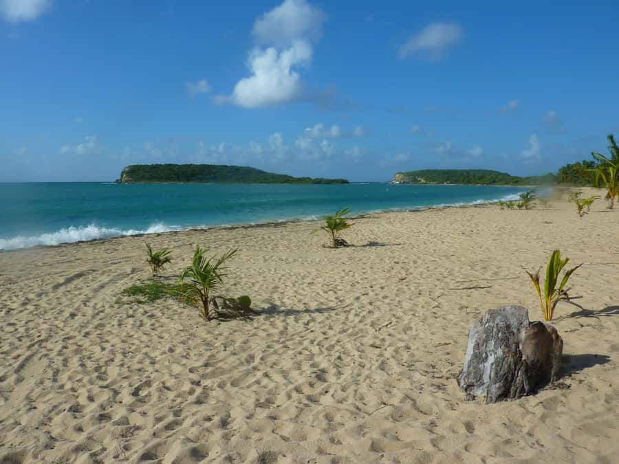 From Fajardo: Boat and Snorkeling in Culebra Island with All-Inclusive - The best and weakest parts of the experience