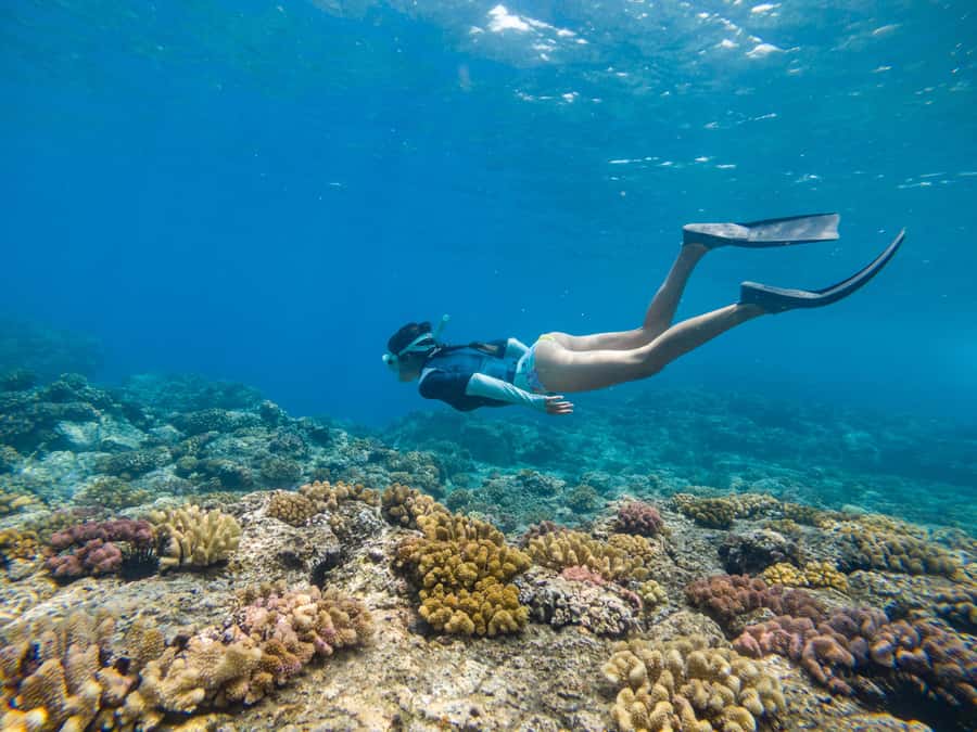 From Fajardo: Boat and Snorkeling in Culebra Island with All-Inclusive - Getting into the water at Culebra