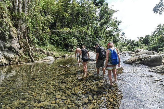 From San Juan: El Yunque Rainforest Hiking Adventure - Why this El Yunque trip feels like a real adventure