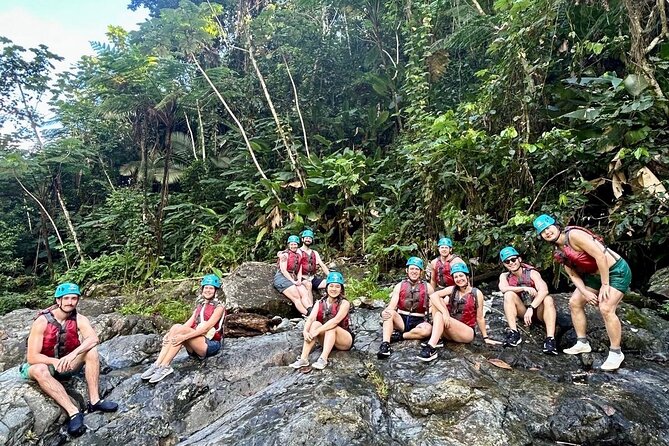 From San Juan: El Yunque Rainforest Hiking Adventure - What the transport and timing mean for your day