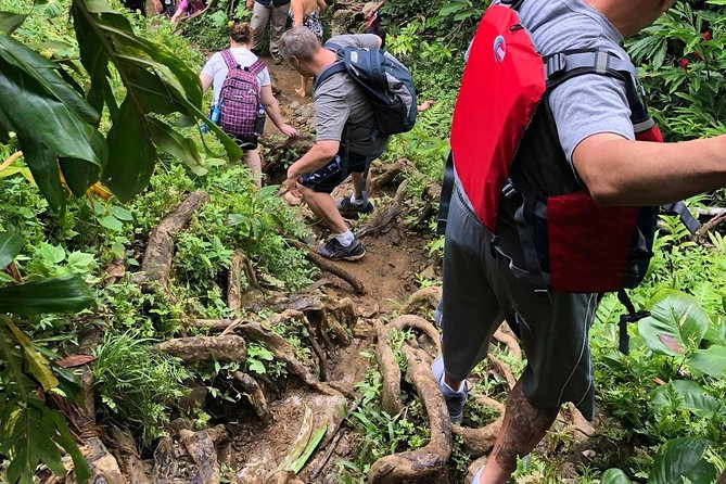 From San Juan: El Yunque Rainforest Hiking Adventure - Lunch near the coast, with your own budget