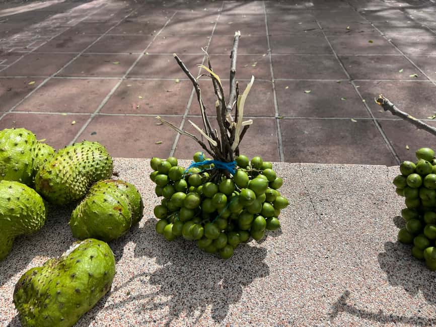 From San Juan: Full-Day Cultural Road Trip to Ponce - Choosing among Ponce’s optional attractions