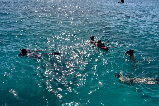 Full Charter All Inclusive for Icacos and Palomino - Isla Palominos: a second beach with a different pace