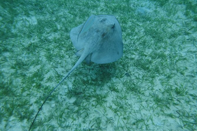 Full Day Charter from Fajardo to Culebra - Beach time at Honeymoon Beach