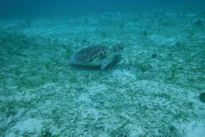 Full Day Charter from Fajardo to Culebra - The crew makes the private format worthwhile