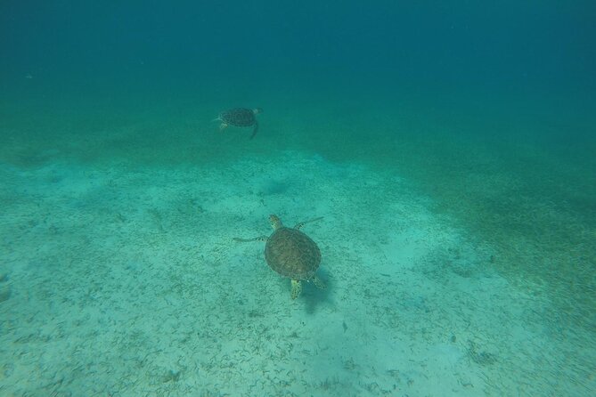 Full Day Charter from Fajardo to Culebra - Is $1,500 a good value for six people?