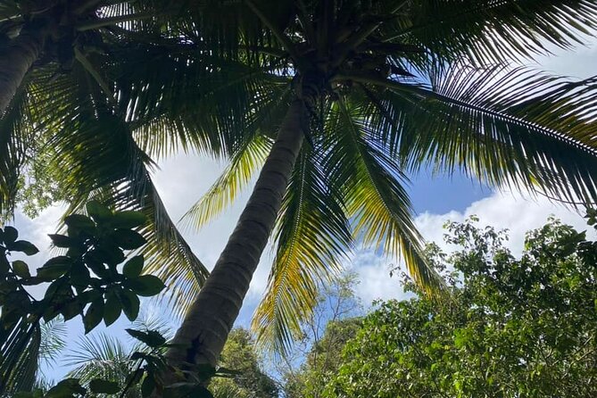 Full Day Eastern Island Tour - How to Prepare for Eight Active Hours