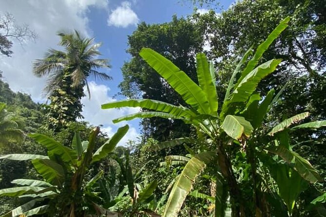 Full Day Eastern Island Tour - Should You Book the Full Day Eastern Island Tour?