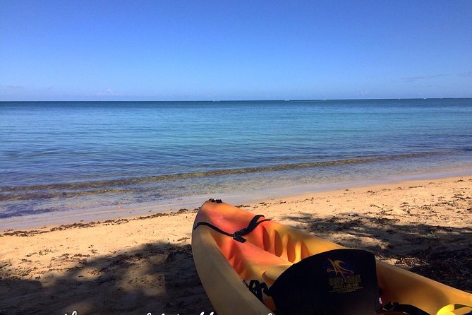Full-Day Kayak Adventure – Explore Fajardo’s Crystal-Clear Waters - Key points at a glance