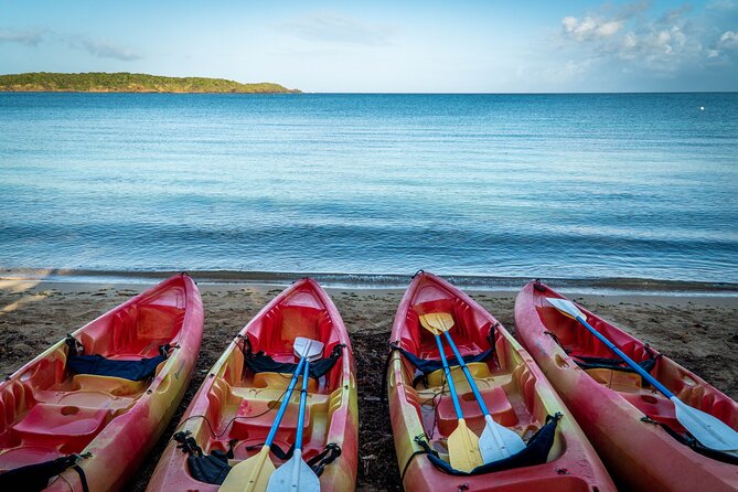 Full-Day Kayak Adventure – Explore Fajardo’s Crystal-Clear Waters - Starting at Las Croabas with a simple plan
