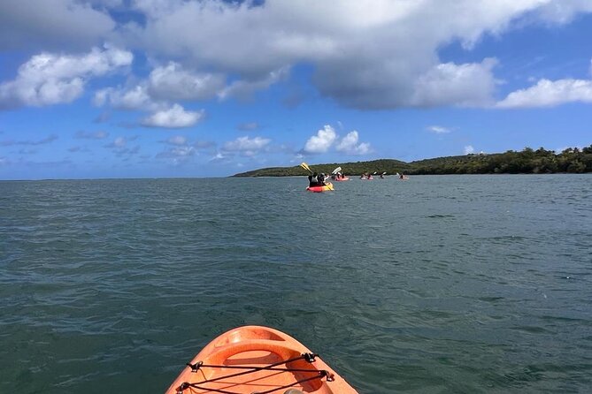 Full-Day Kayak Adventure – Explore Fajardo’s Crystal-Clear Waters - A self-guided day requires a little judgment