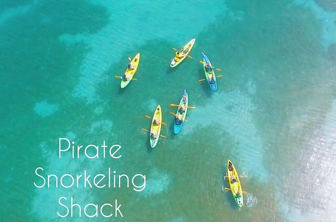 Full-Day Kayak Adventure – Explore Fajardo’s Crystal-Clear Waters - Why the staff service matters