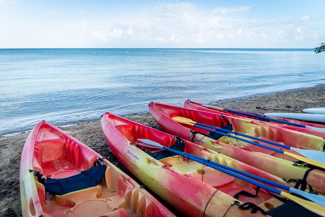 Full-Day Kayak Adventure – Explore Fajardo’s Crystal-Clear Waters - What $80 buys for two people