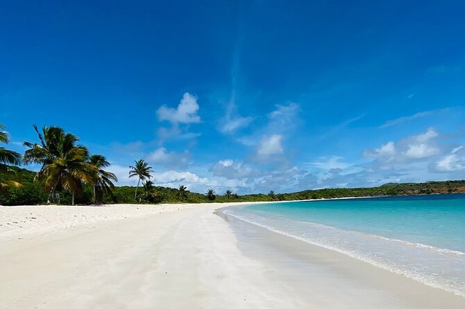 Full Day Private Boat Tour To Culebra - Why the private format affects the price
