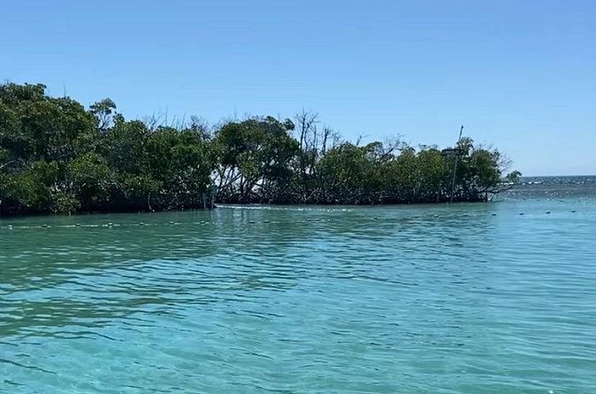 Full-Day Private Cruise in Cayo Caracoles - Why the flexible pace works