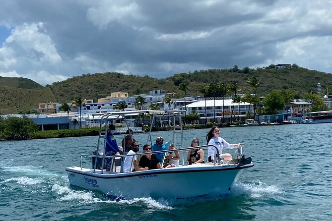Full-Day Private Cruise in Cayo Caracoles - What you may see beneath the surface
