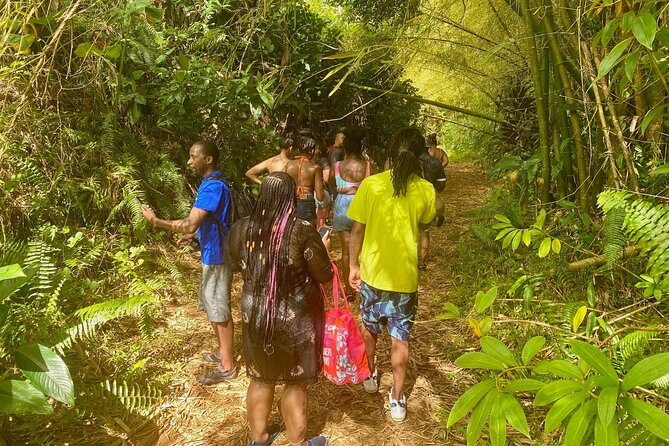 Full-Day Private Tour to Tinajas Waterfalls in El Yunque - Does $700 offer good value?