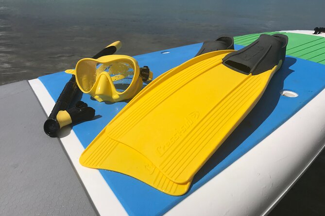 Full-Day Snorkeling Gear Rental in Puerto Rico - A self-guided morning at Cabezas de San Juan