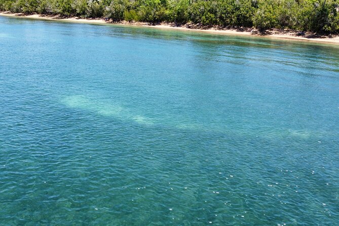Full-Day Snorkeling Gear Rental in Puerto Rico - Choosing between one hour and most of the day