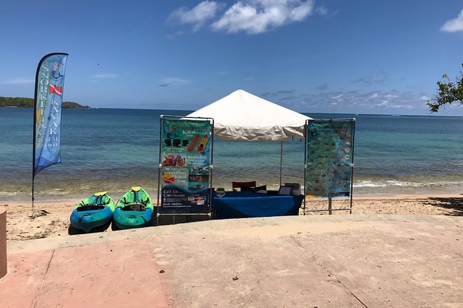 Full-Day Snorkeling Gear Rental in Puerto Rico - What you might see beneath the surface