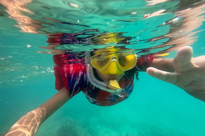 Full-Day Snorkeling Gear Rental in Puerto Rico - Why the independent format works
