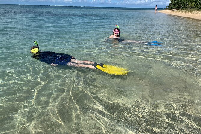Full-Day Snorkeling Gear Rental in Puerto Rico - How the experience compares in value