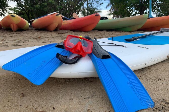 Full-Day Snorkeling Gear Rental in Puerto Rico - Who should book this snorkeling rental