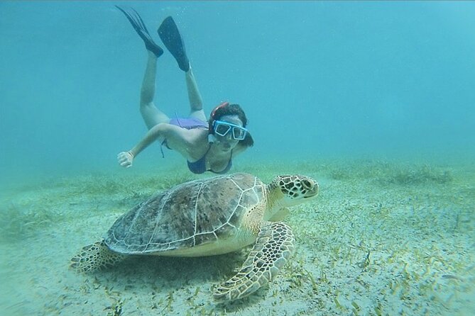 Full-Day Snorkeling Tour to Culebra Island with Lunch - Leaving Roosevelt Roads at 8 am