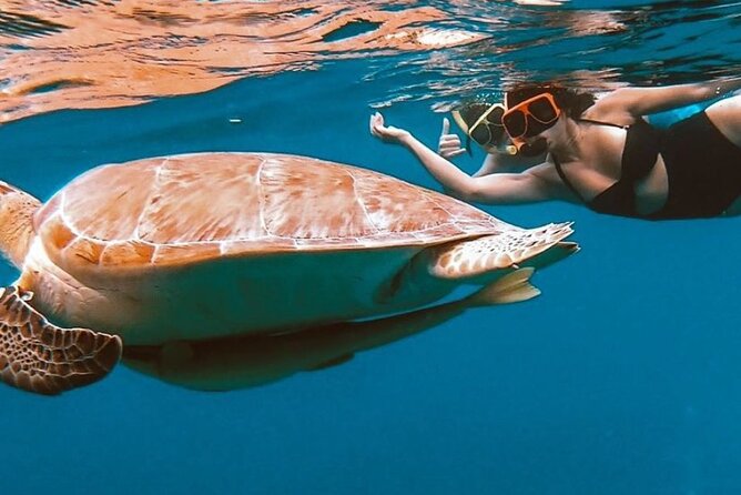 Full-Day Snorkeling Tour to Culebra Island with Lunch - The return to Ceiba at 2 pm