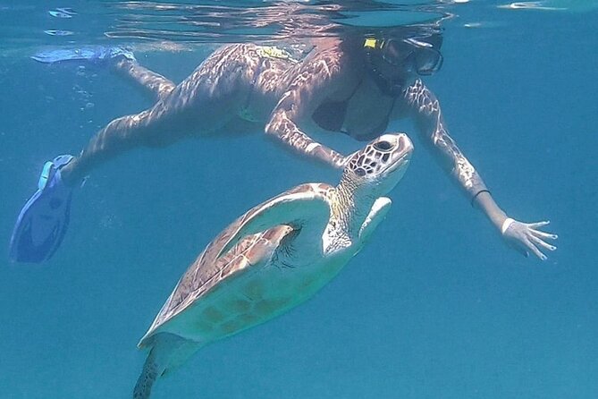 Full-Day Snorkeling Tour to Culebra Island with Lunch - Who will enjoy this day most