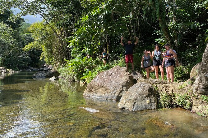Full-Day Tinajas Hiking to El Yunque Rainforest with Transport - Who should book this rainforest outing