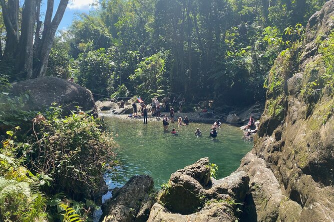 Full-Day Tinajas Hiking to El Yunque Rainforest with Transport - A rainforest hike with mud, roots, and river crossings