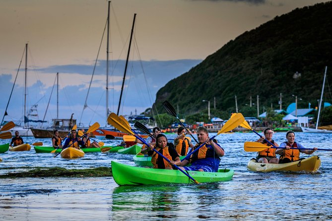 Full-Day Tour: El Yunque, Luquillo Beach, Bio Bay Night Kayaking - A long day with three very different rewards