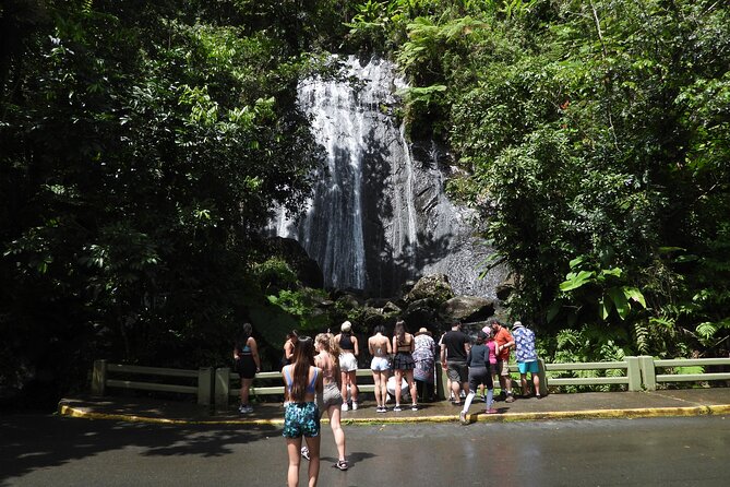 Full-Day Tour: El Yunque, Luquillo Beach, Bio Bay Night Kayaking - Laguna Grande turns the evening into an outdoor adventure
